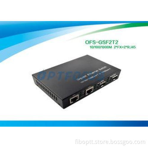 10/100mbps 2 Port Ethernet Switch , Gigabit Ethernet Switch
